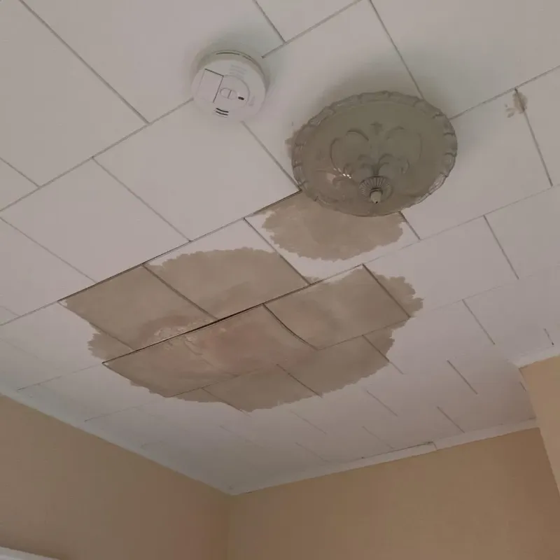 Ceiling Water Damage Repair in Kaser, NY