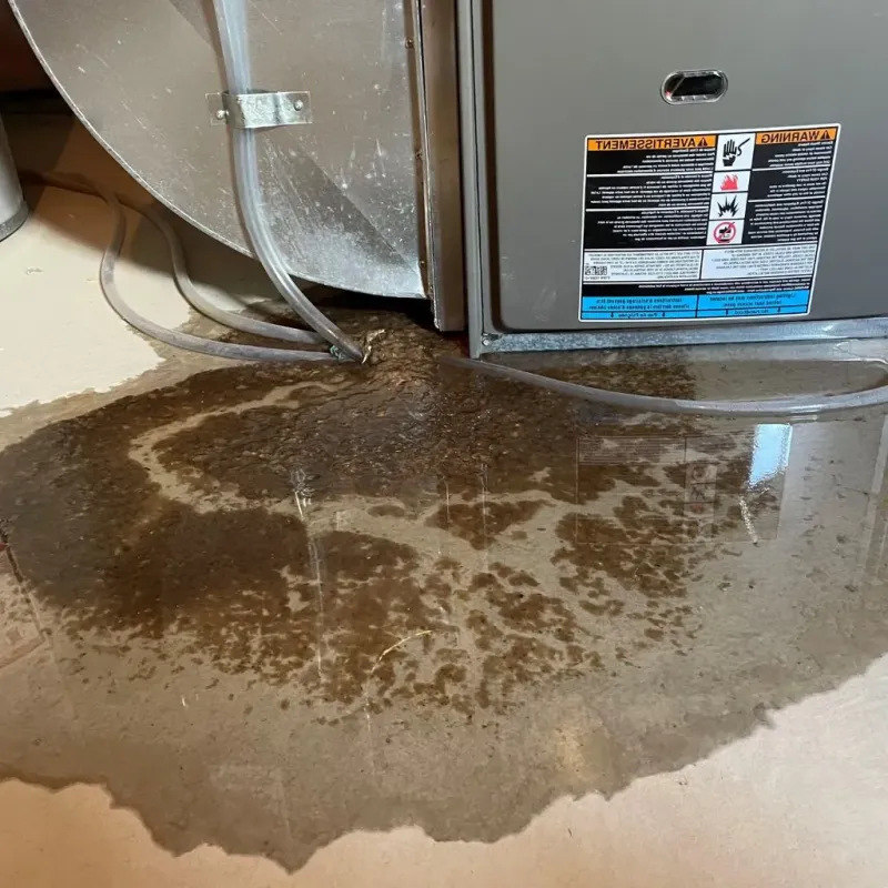 Pipe Burst and Leak Restoration in Kaser, NY